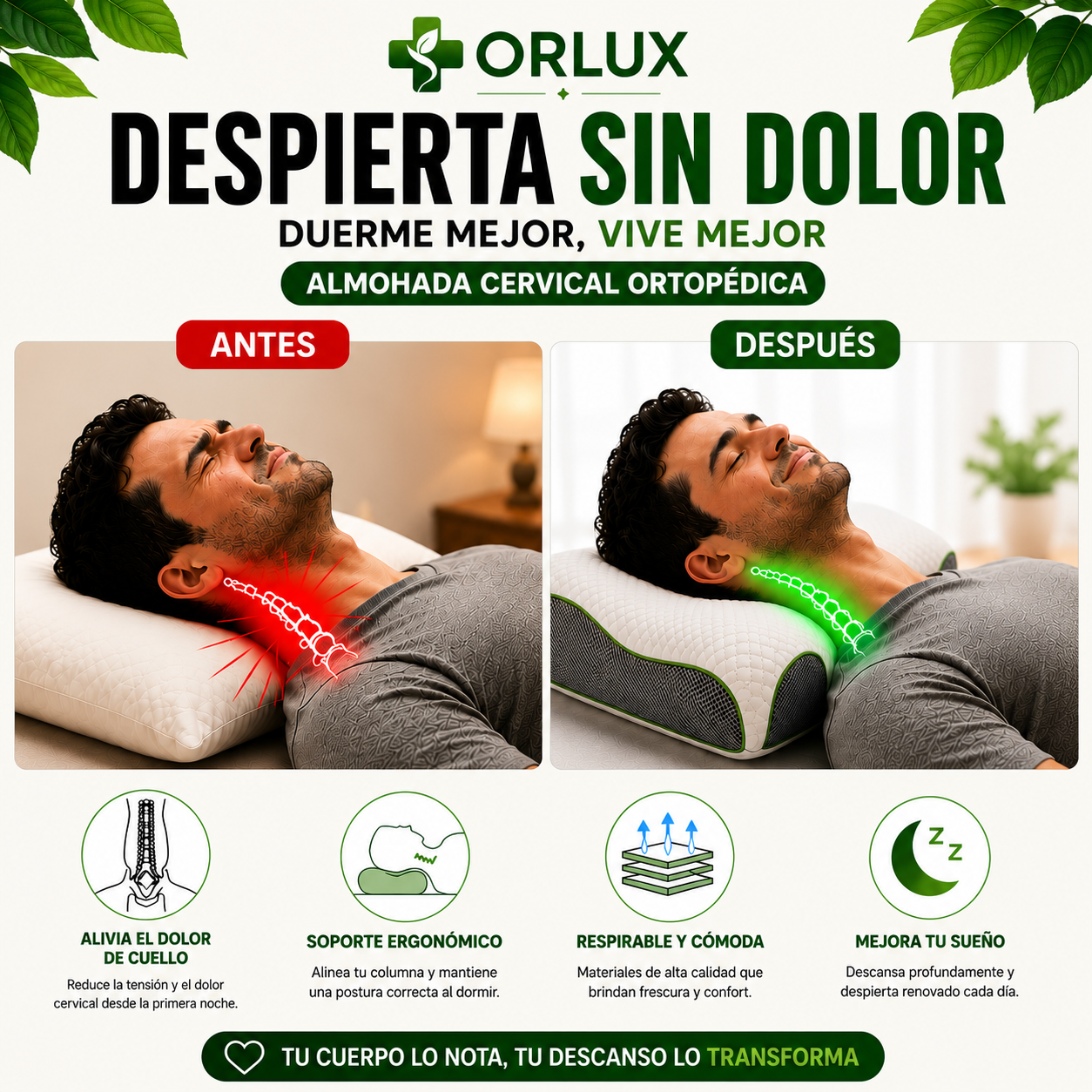 ALMOHADA ORTOPEDICA